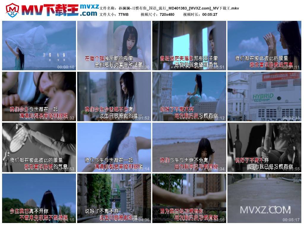 孙澜澜-习惯有你_国语_流行_MD401383